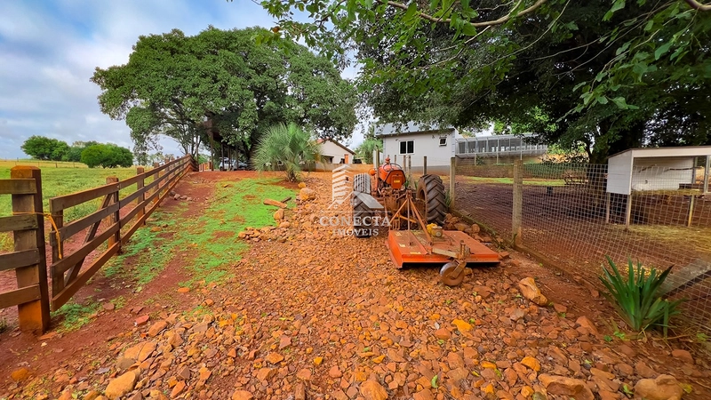 Linda Chácara de 3,9 hectares a venda em Santa Rosa : 25ª foto da galeria de imagens do imóvel