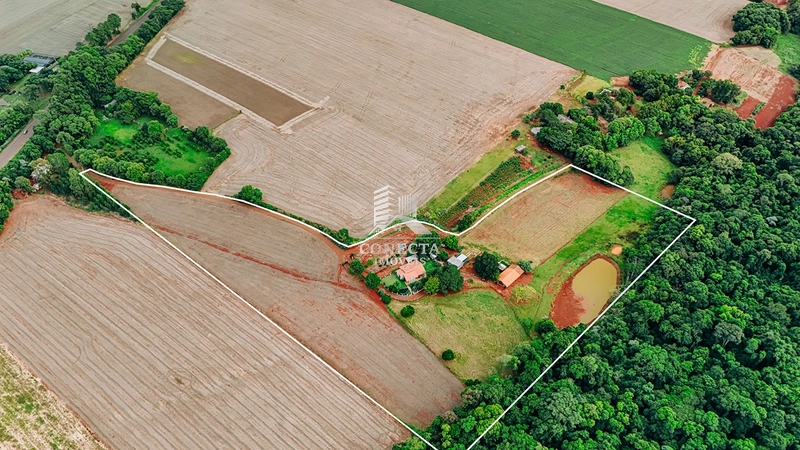 Linda Chácara de 3,9 hectares a venda em Santa Rosa : 1ª foto da galeria de imagens do imóvel
