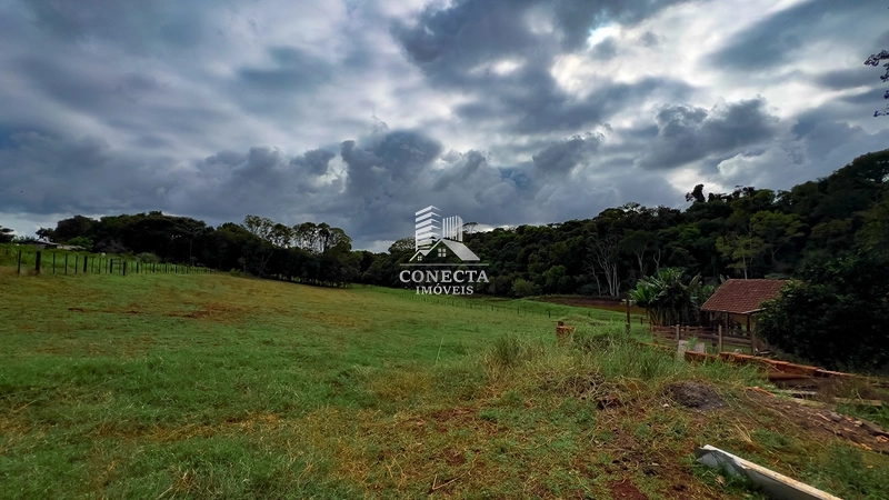 Linda Chácara de 3,9 hectares a venda em Santa Rosa : 21ª foto da galeria de imagens do imóvel