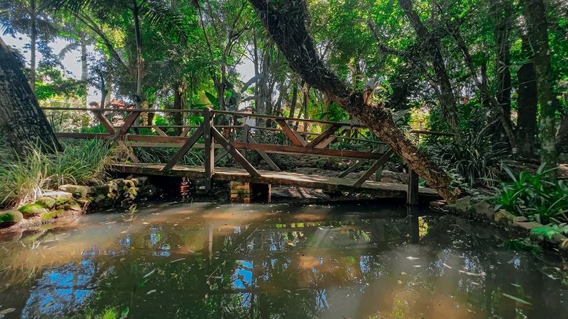 Chácara à venda a poucos metros do centro de Santa Rosa. : 22ª foto da galeria de imagens do imóvel