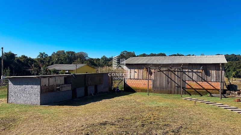 Sítio com Casa de Alvenaria à Venda em Santa Rosa/RS: 10ª foto da galeria de imagens do imóvel