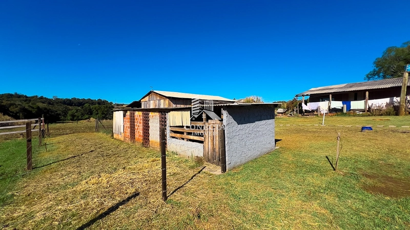 Sítio com Casa de Alvenaria à Venda em Santa Rosa/RS: 13ª foto da galeria de imagens do imóvel