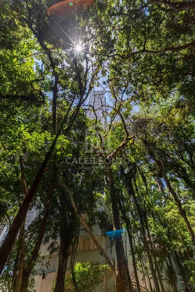 Apartamento 3 quartos em Balneário Camboriu / SC: 46ª foto da galeria de imagens do imóvel