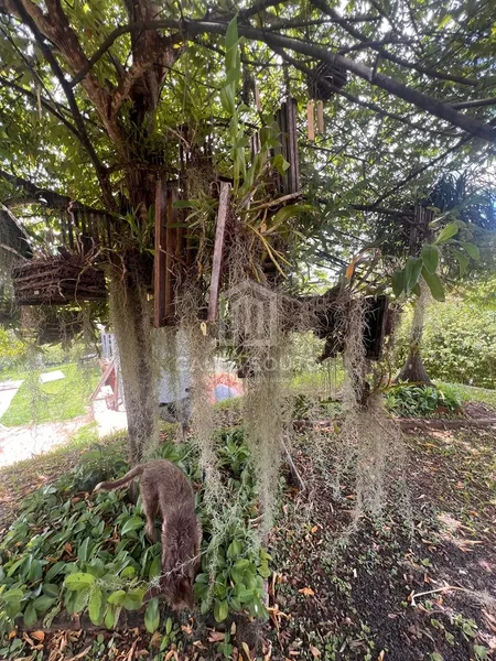 Chácara no Condomínio Green Valley em Marília-SP.: 2ª foto da galeria de imagens do imóvel