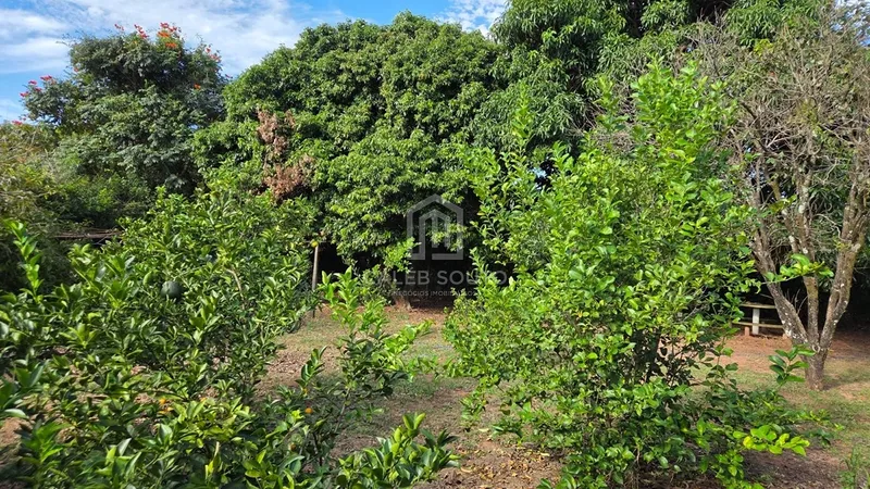 Chácara com 3 quartos no Condomínio Recanto Altos da Colina | Vera Cruz/ SP: 2ª foto da galeria de imagens do imóvel