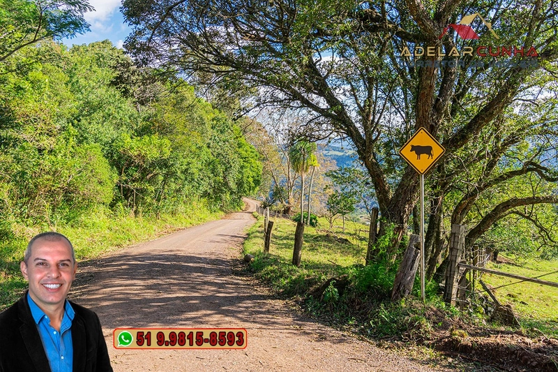 Sítio de 4.7 hectares à Venda em Igrejinha - RS: 35ª foto da galeria de imagens do imóvel