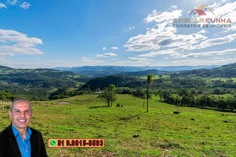 Sítio de 4.7 hectares à Venda em Igrejinha - RS: 8ª foto da galeria de imagens do imóvel