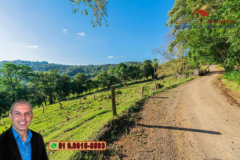 Sítio de 4.7 hectares à Venda em Igrejinha - RS: 30ª foto da galeria de imagens do imóvel