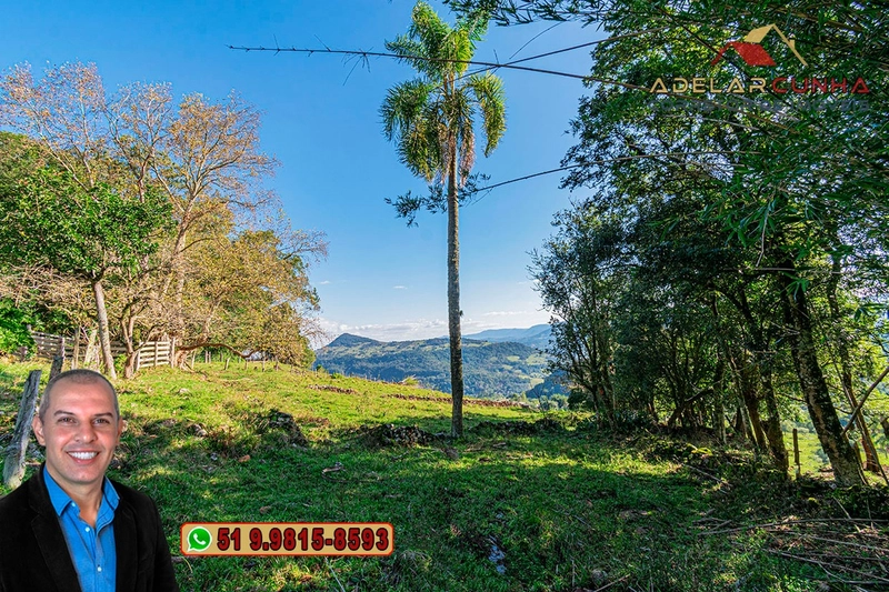 Sítio de 4.7 hectares à Venda em Igrejinha - RS: 11ª foto da galeria de imagens do imóvel