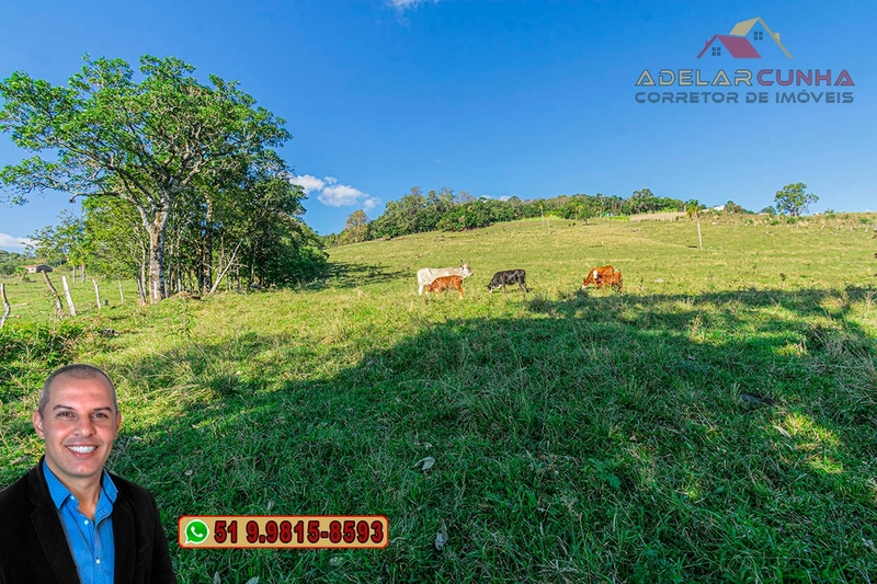 Sítio de 4.7 hectares à Venda em Igrejinha - RS: 16ª foto da galeria de imagens do imóvel