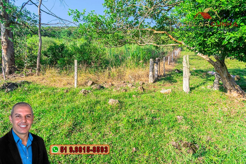 Chácara de 2.3 hectares à VENDA em Três Coroas - RS: 12ª foto da galeria de imagens do imóvel