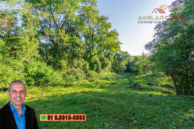 Chácara de 2 hectares à VENDA em Três Coroas - RS: 9ª foto da galeria de imagens do imóvel