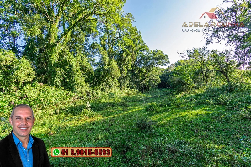 Chácara de 2 hectares à VENDA em Três Coroas - RS: 10ª foto da galeria de imagens do imóvel