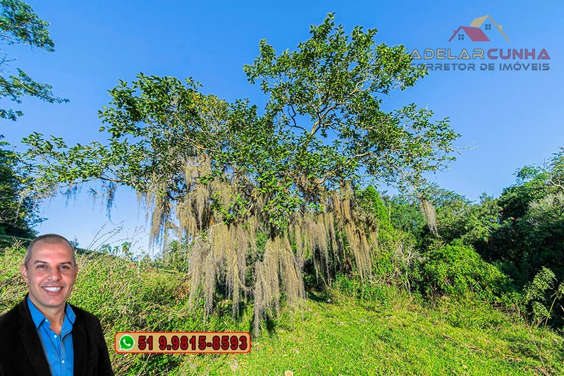 Chácara de 2 hectares à VENDA em Três Coroas - RS: 22ª foto da galeria de imagens do imóvel
