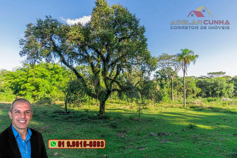 Chácara de 2 hectares à VENDA em Três Coroas - RS: 13ª foto da galeria de imagens do imóvel