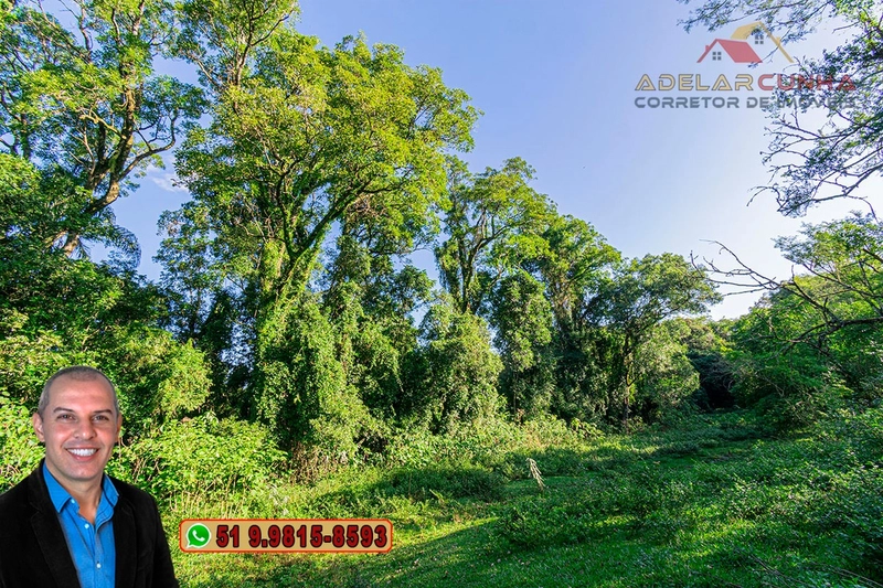 Chácara de 2 hectares à VENDA em Três Coroas - RS: 10ª foto da galeria de imagens do imóvel