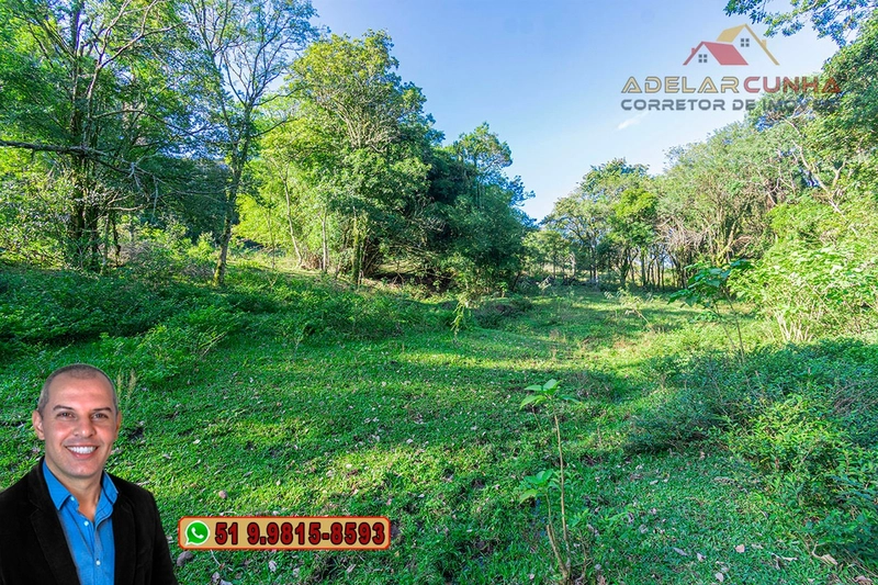 Chácara de 2 hectares à VENDA em Três Coroas - RS: 5ª foto da galeria de imagens do imóvel