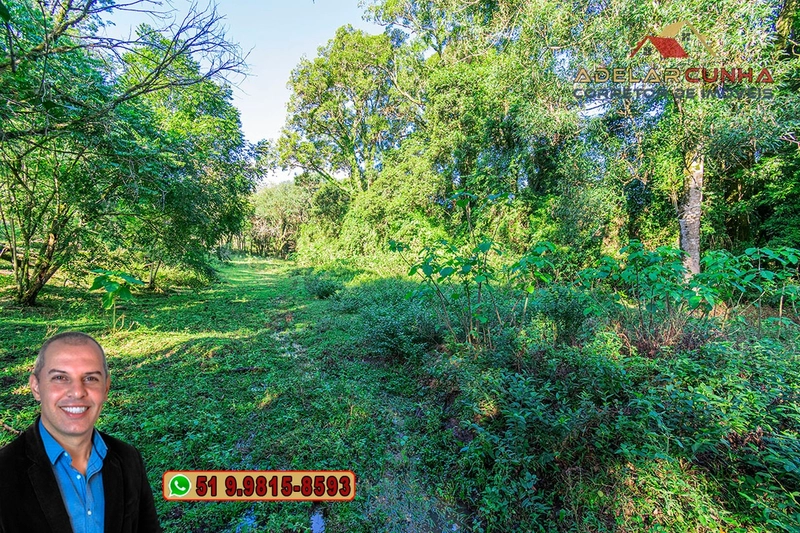 Chácara de 2 hectares à VENDA em Três Coroas - RS: 9ª foto da galeria de imagens do imóvel