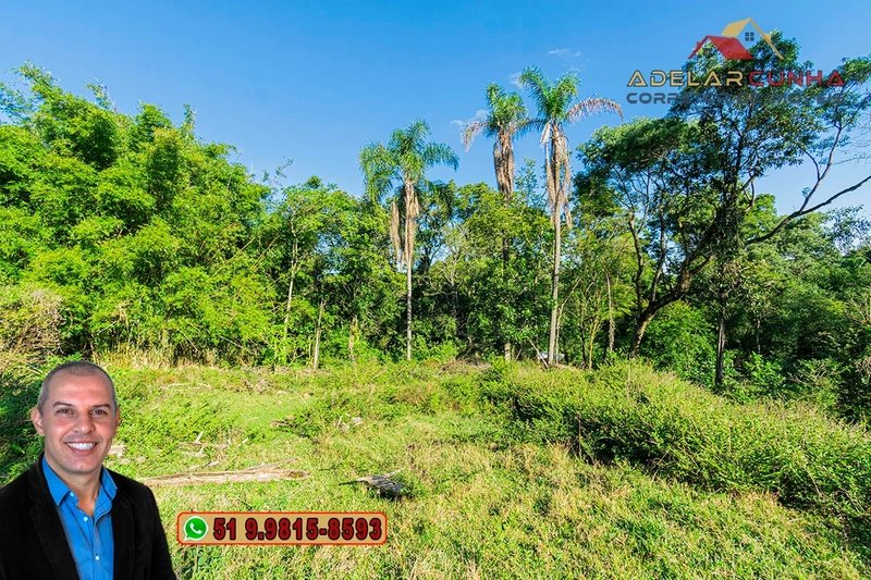 Chácara de 2 hectares à VENDA em Três Coroas - RS: 11ª foto da galeria de imagens do imóvel