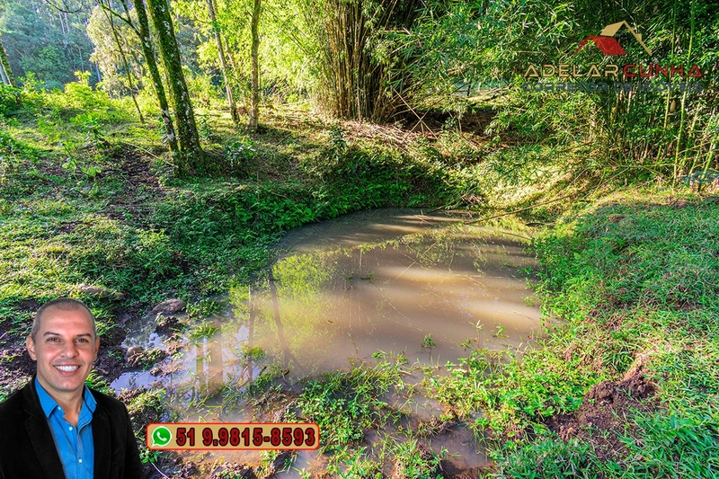 Chácara de 2 hectares à VENDA em Três Coroas - RS: 4ª foto da galeria de imagens do imóvel