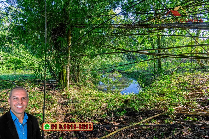 Chácara de 2 hectares à VENDA em Três Coroas - RS: 2ª foto da galeria de imagens do imóvel
