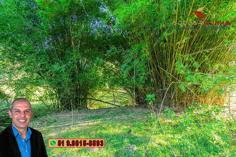 Chácara de 2 hectares à VENDA em Três Coroas - RS: 4ª foto da galeria de imagens do imóvel