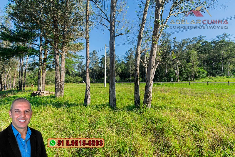Terreno Comercial 1.9 ha à VENDA Igrejinha / Taquara - RS115: 6ª foto da galeria de imagens do imóvel