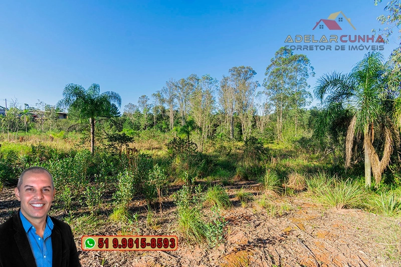 Terreno Comercial 1.9 ha à VENDA Igrejinha / Taquara - RS115: 10ª foto da galeria de imagens do imóvel