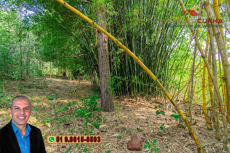 Chácaras à VENDA em Taquara - RS: 56ª foto da galeria de imagens do imóvel
