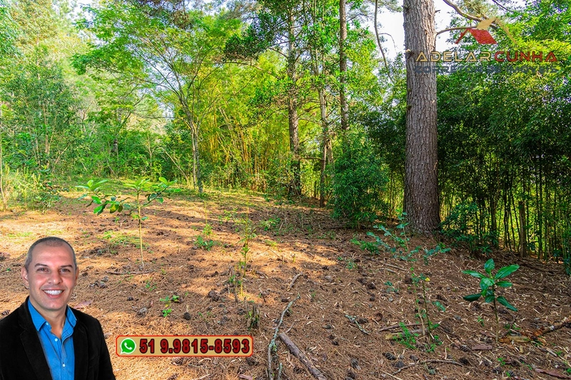 Chácaras à VENDA em Taquara - RS: 55ª foto da galeria de imagens do imóvel