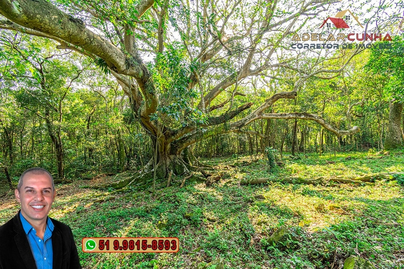 Chácara de 3.6 hectares à VENDA em Igrejinha - RS: 51ª foto da galeria de imagens do imóvel