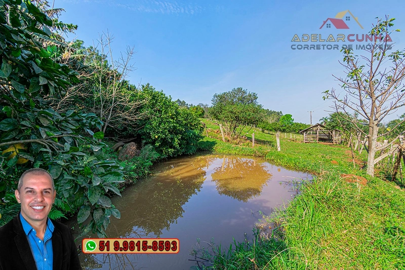Chácara de 3.6 hectares à VENDA em Igrejinha - RS: 10ª foto da galeria de imagens do imóvel