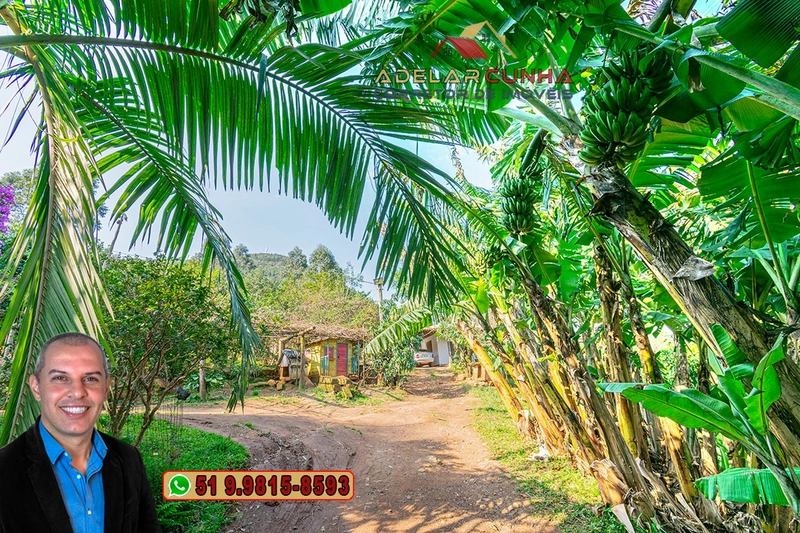 Chácara de 3.6 hectares à VENDA em Igrejinha - RS: 12ª foto da galeria de imagens do imóvel