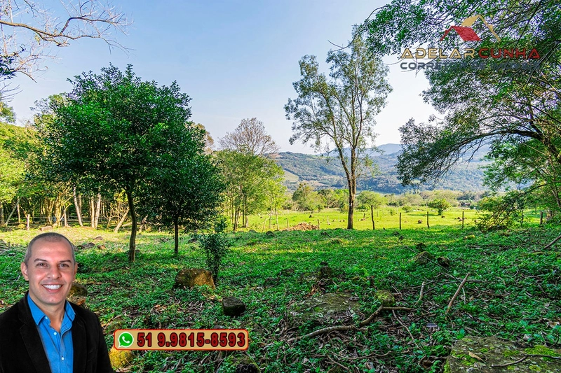 Chácara de 3.6 hectares à VENDA em Igrejinha - RS: 31ª foto da galeria de imagens do imóvel