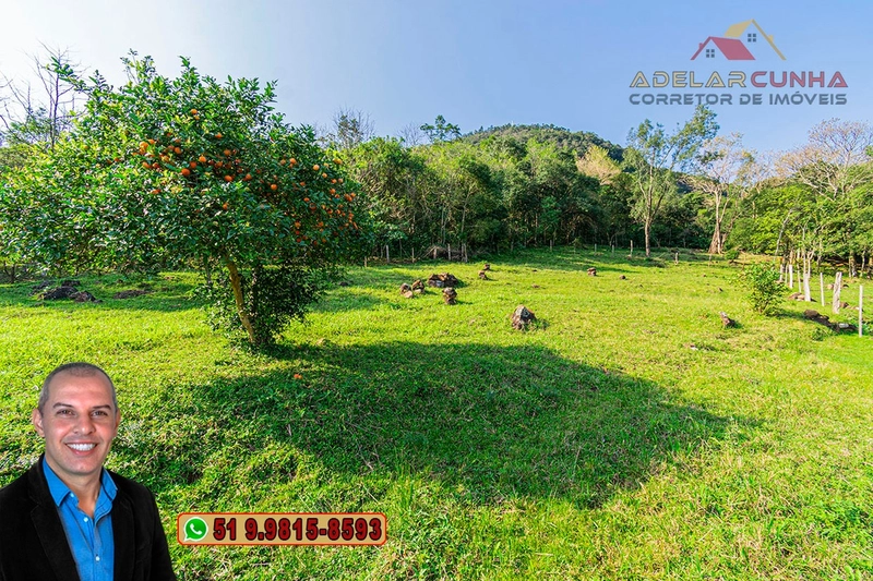 Chácara de 3.6 hectares à VENDA em Igrejinha - RS: 27ª foto da galeria de imagens do imóvel