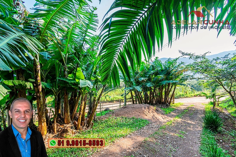 Chácara de 3.6 hectares à VENDA em Igrejinha - RS: 4ª foto da galeria de imagens do imóvel