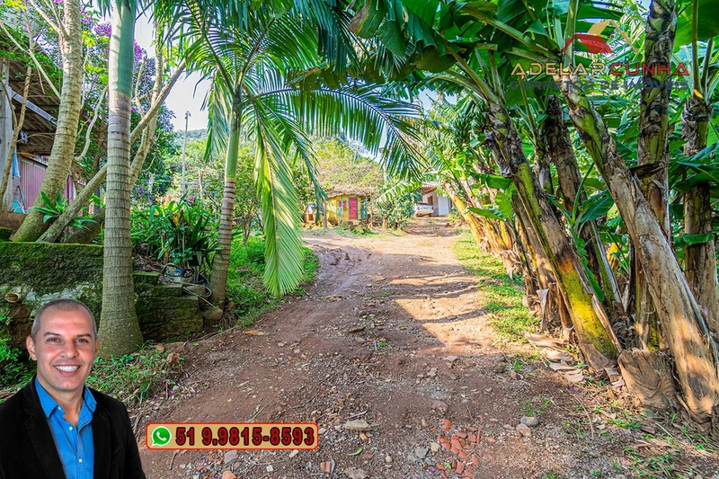 Chácara de 3.6 hectares à VENDA em Igrejinha - RS: 6ª foto da galeria de imagens do imóvel