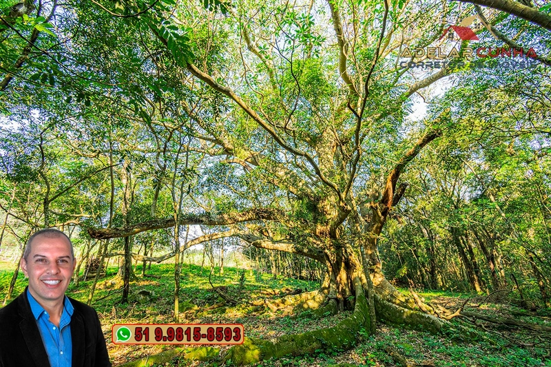 Chácara de 3.6 hectares à VENDA em Igrejinha - RS: 53ª foto da galeria de imagens do imóvel