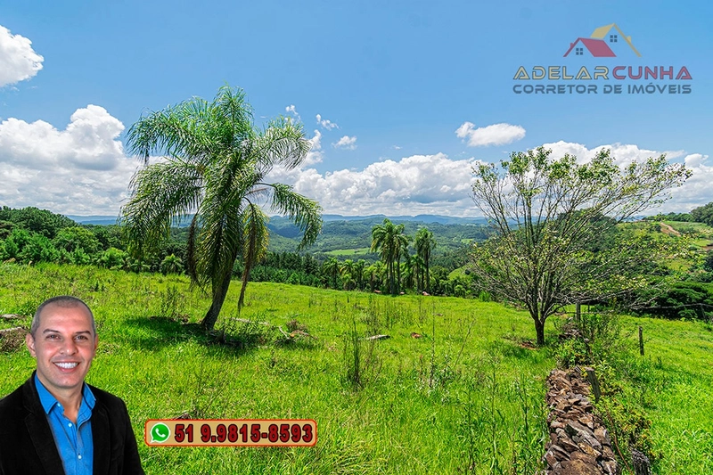 Sítio de 2.2 hectares à VENDA em Três Coroas - RS : 22ª foto da galeria de imagens do imóvel