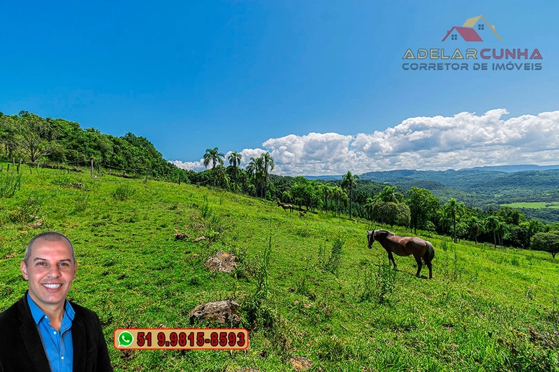 Sítio de 2.2 hectares à VENDA em Três Coroas - RS : 26ª foto da galeria de imagens do imóvel