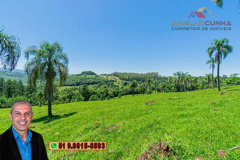 Sítio de 5.2 hectares à VENDA em Três Coroas - RS: 17ª foto da galeria de imagens do imóvel