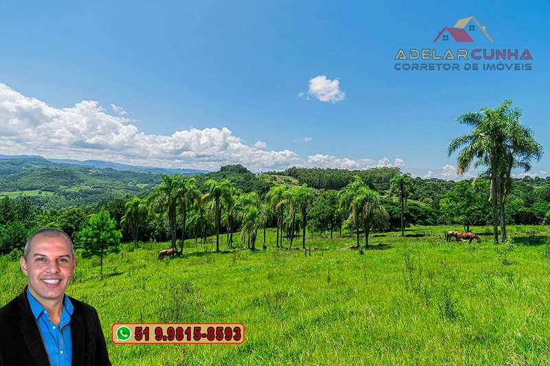 Sítio de 2.2 hectares à VENDA em Três Coroas - RS : 48ª foto da galeria de imagens do imóvel