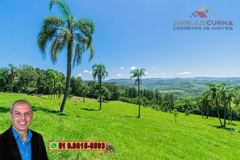 Sítio de 5.2 hectares à VENDA em Três Coroas - RS: 5ª foto da galeria de imagens do imóvel