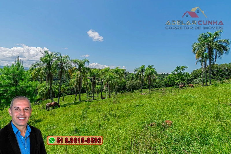 Sítio de 2.2 hectares à VENDA em Três Coroas - RS : 47ª foto da galeria de imagens do imóvel