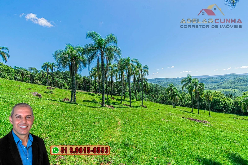 Sítio de 5.2 hectares à VENDA em Três Coroas - RS: 1ª foto da galeria de imagens do imóvel