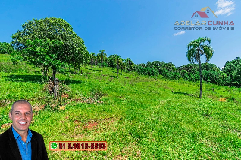 Sítio de 2.2 hectares à VENDA em Três Coroas - RS : 40ª foto da galeria de imagens do imóvel