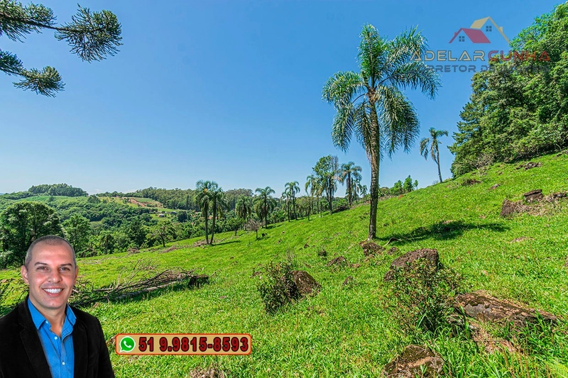 Sítio de 5.2 hectares à VENDA em Três Coroas - RS: 13ª foto da galeria de imagens do imóvel
