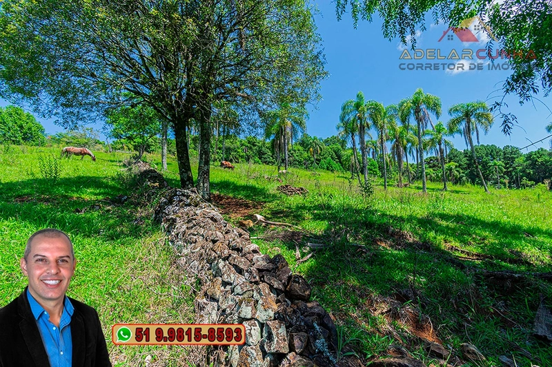 Sítio de 2.2 hectares à VENDA em Três Coroas - RS : 39ª foto da galeria de imagens do imóvel