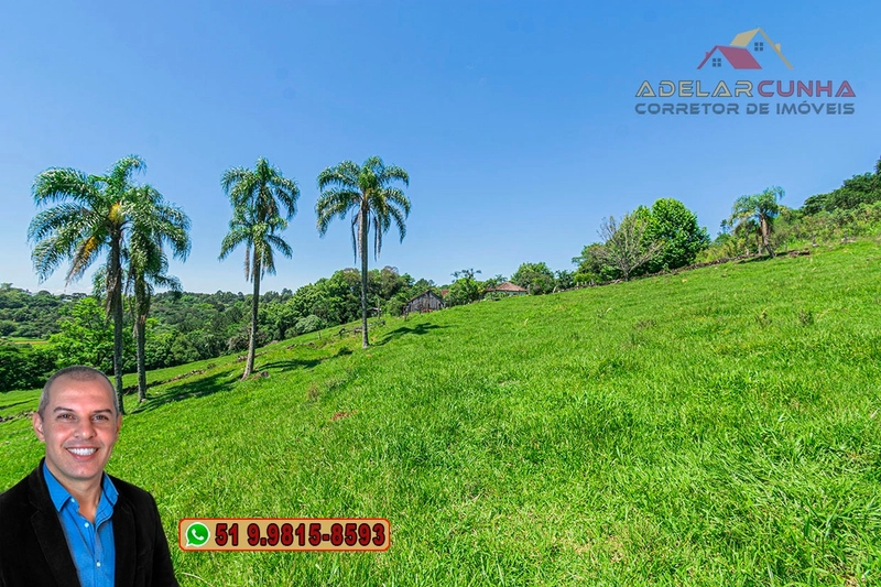 Sítio de 5.2 hectares à VENDA em Três Coroas - RS: 8ª foto da galeria de imagens do imóvel