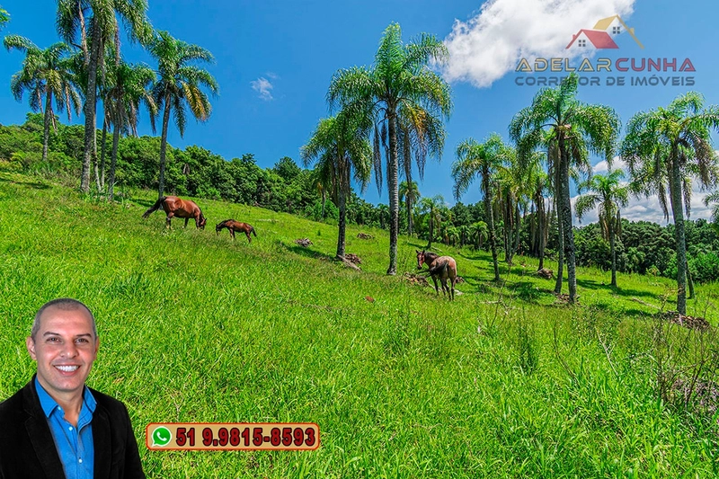 Sítio de 2.2 hectares à VENDA em Três Coroas - RS : 38ª foto da galeria de imagens do imóvel
